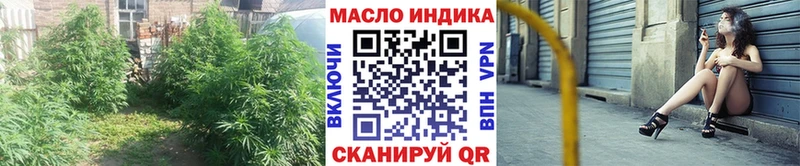 ТГК концентрат  Купить где  Курлово 