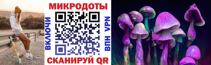 Купить где  Курлово  Галлюциногенные грибы мицелий 